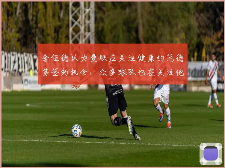 舍伍德认为曼联应关注健康的范德芬签约机会，众多球队也在关注他