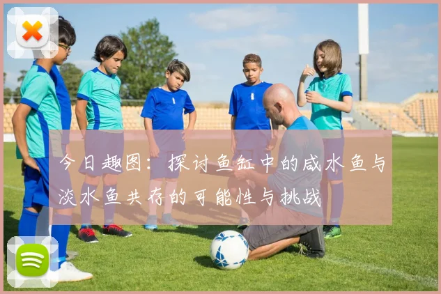 今日趣图：探讨鱼缸中的咸水鱼与淡水鱼共存的可能性与挑战