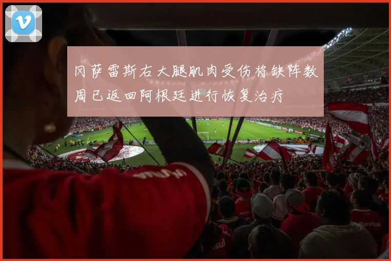 冈萨雷斯右大腿肌肉受伤将缺阵数周已返回阿根廷进行恢复治疗