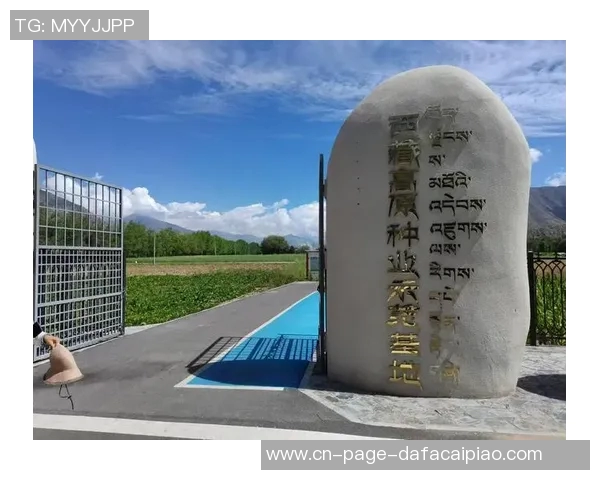 王秋明谈高原适应性问题强调自我反思与客观因素的平衡分析